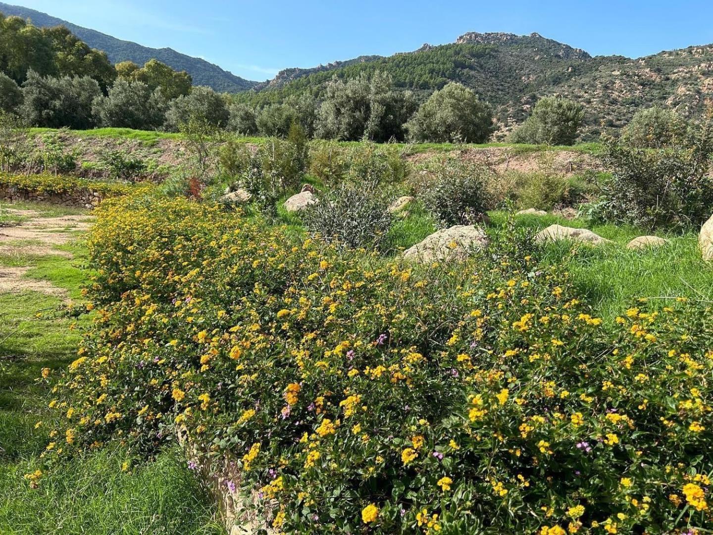 Agriturismo La Biada Is Morus Bagian luar foto